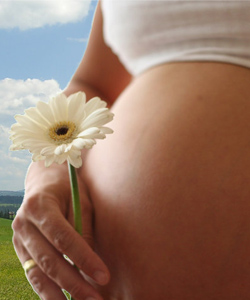 Опыт применения БАД компании Nature's Sunshine Products у беременных