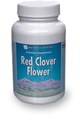 Цветки красного клевера / Red Clover Flowers
