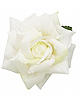 Набор для прекрасных созданий Трио Macaroons и Белая роза