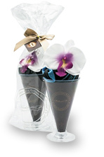 Сумка для гурманов Парфе на основе шоколада с цветком Орхидеи