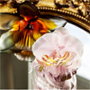 Саше для эстетов Розовая орхидея