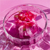Саше для эстетов Пурпурная роза