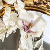 Саше для эстетов Белая орхидея