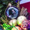 Новогодний шар для праздничной елки 12 Рецептов счастья (знак зодиака - Козерог)