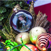 Новогодний шар для праздничной елки 12 Рецептов счастья (знак зодиака - Водолей)