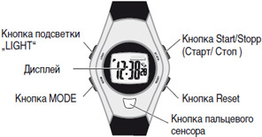 Спортивные часы Beurer PM16 для женщин - описание
