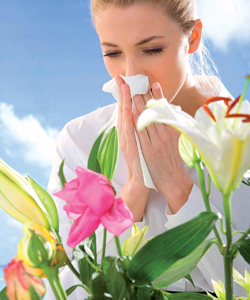 Аллергия: Основные принципы использования БАД корпорации ВитаЛайн