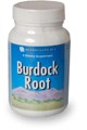 Корни лопуха / Burdock Root