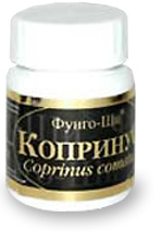 Копринус (Навозник) / Coprinus comatus