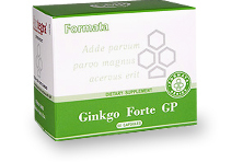 Гинкго Форте GP (Джинкго Форте Джи Пи) / Ginkgo Forte GP